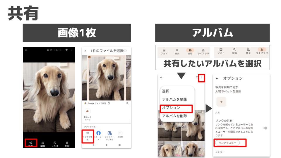 Googleフォト_共有