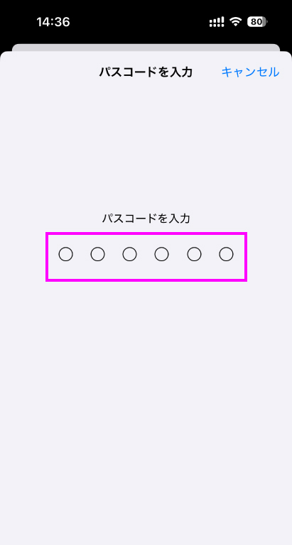 iPhone APN インストール