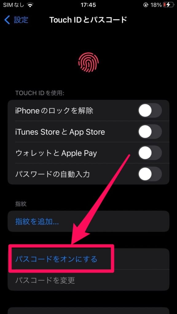 iPhone パスコード設定②