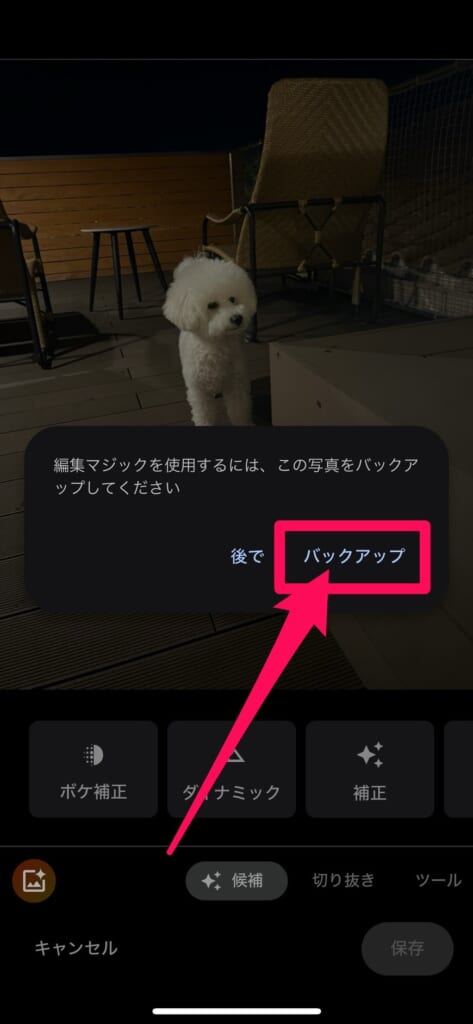 Googleフォト　バックアップ