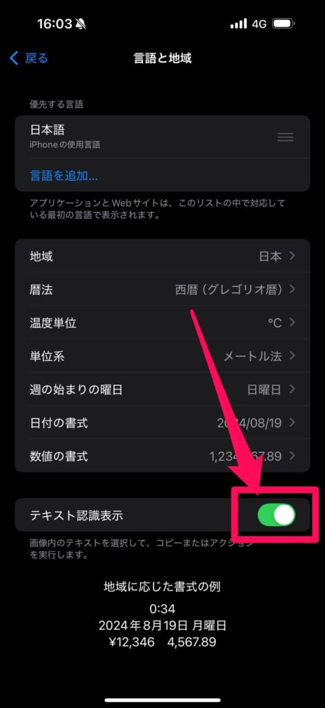 iPhone テキスト認識表示オン