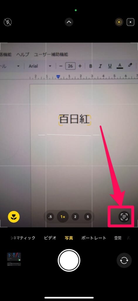 iPhone テキスト認識表示