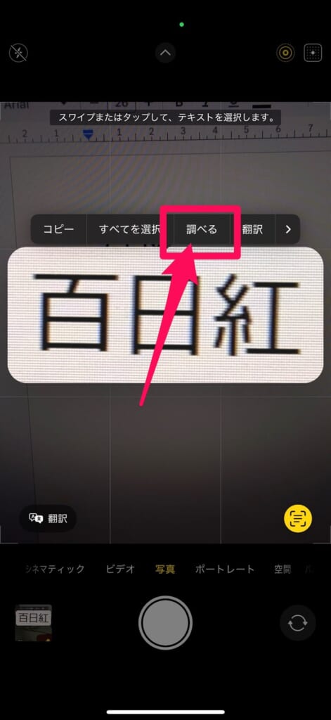 iPhone テキスト認識表示　調べる