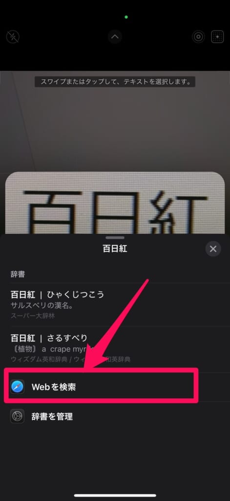 iPhone テキスト認識表示　Webで検索