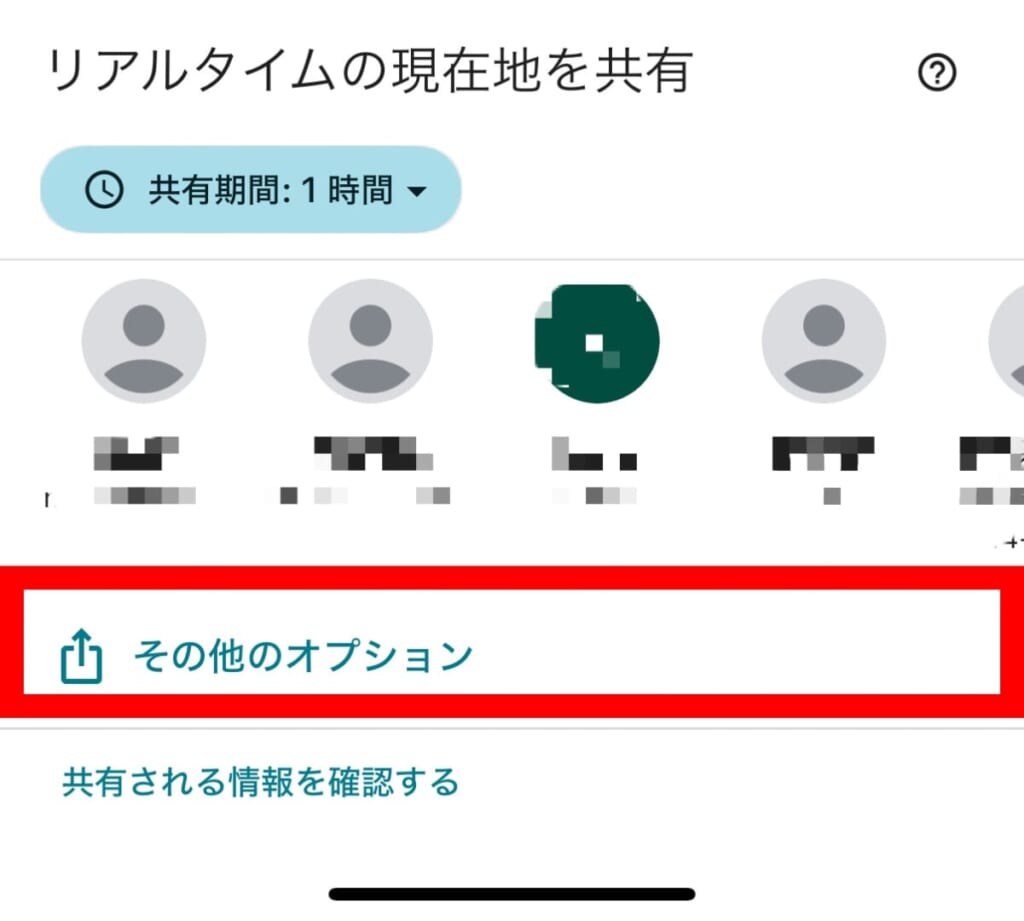 その他のオプション