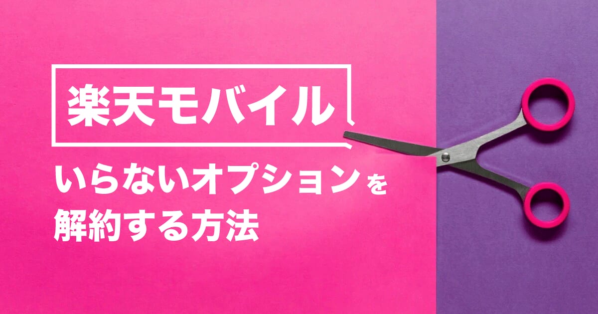 楽天モバイル オプション