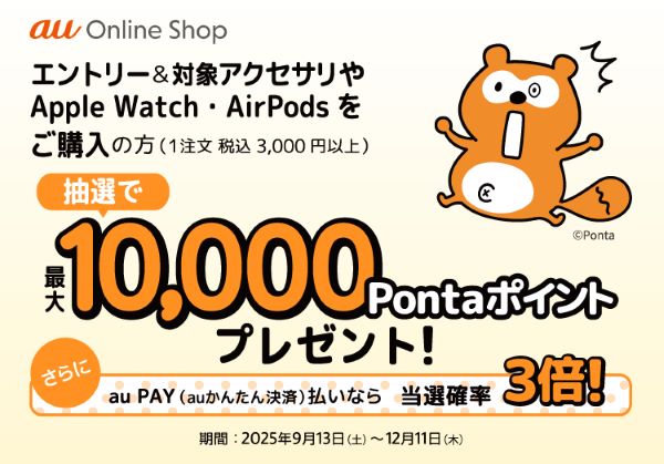 エントリー&対象アクセサリ購入で最大10,000Pontaポイントプレゼント